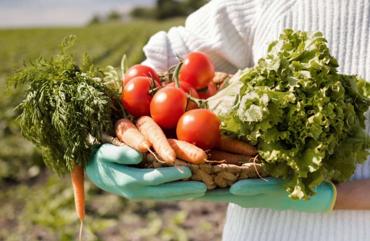 Organic Products - Farmer X Webflow Templates | BRIX Templates